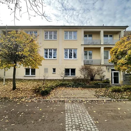 Strandflieder 301 博尔滕哈根